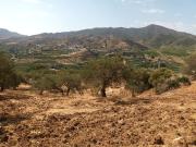 Tierra en venta, Álora