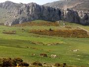 Tierra en venta, Antequera