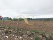 Tierra en venta, Colunga