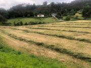 Tierra en venta, Las Regueras