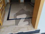 Tile Flooring 4 Marla Ground Portion