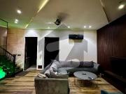 Till Floor Beautiful Fully Furnished House DHA Phase 6