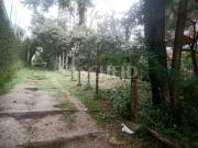 Ãtima oportunidade terreno para locaÃ§Ã£o no Morumbi