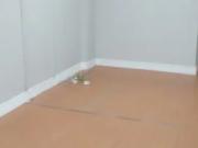 Ãtima sala comercial no Centro do Rio