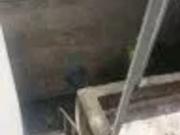 Ãtimo sobrado residencial ou comercial de 183m na mooca