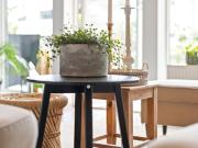 Tiny House Ferienhaus Wohnhaus Raumwunder 3