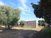 Tipici rustici in pietra in vendita a Carovigno 210m²...