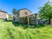 Tipico casale colonico da ristrutturare con ulteriori...