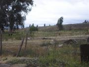 Tipo Comercial Pleno Camino Alba II