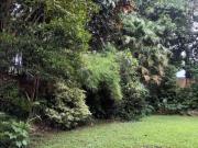 Tivoli Greens | Residential Lot For Sale #9586