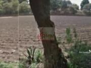 TLALPAN SAN MIGUEL AJUSCO TERRENO EN VENTA