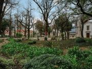 To Buy T6 | Lisboa | Amoreiras 210m² Santo António