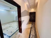To sale You Can Find Spacious Prime Location House In...