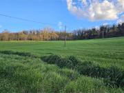 Todi: Azienda Agricola 1160m² Todi