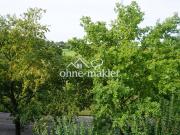 Tolle Aussicht ins Grüne