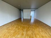 Tolle Wohnung im Loftstil in der City inklusive...