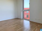 Toller unverbauter Grünblick in den Prater