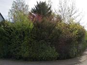 Tolles Baugrundstück in Bischmisheim