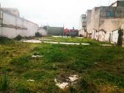 TOLUCA EN RENTA TERRENO COL. CIPRÉS