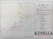 Tomacork, Carnew, Wicklow