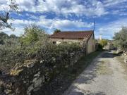 Tomar Encantadora quinta para renovar com 11.600 m² de...