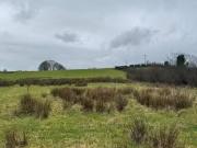 Toneneave, Maghercloone, Carrickmacross, Monaghan