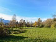 Top Adresse! 2.000 m² Grundstück in ruhiger Lage mitten...