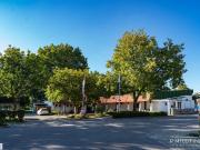 TOP ANGEBOT+STARK REDUZIERT: NEUER KAUFPREIS+ 320 EUR/...