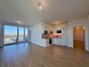 TOP Ausblick: City mit Stephansdom, Donaukanal, Prater....