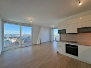 TOP Ausblick: City mit Stephansdom, Donaukanal, Prater....