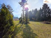 TOP: Baugrundstück mit über 2.200m² Pitten!