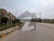 Top Heighted Location, South Facing, Solid Land 8 Marla...