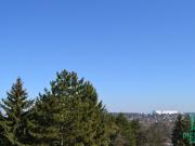 TOP: Herrliche Aussicht beim Hörndlwald Exklusives...