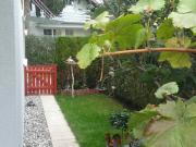 Charmantes Reihenhaus mit Garten in Rankweil