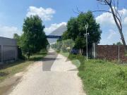 TOP Location 4 And 8 Kanal Farm House Land For Sale...