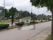 Top Location Near Central Park South Open 1 Kanal Plot