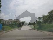 Prime Location, Next To Family Park, SOUTH OPEN 1 Kanal Plot