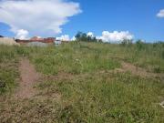 Top lotes em igaratÃ¡