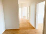 Top renovierte 3 Zimmer Wohnung im Herzen des...