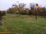 TOR ZUM GLÜCK RIESEN GRUNDSTÜCK MIT GEBÄUDE UND VIELEN...