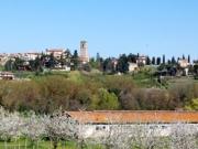 Torgiano, appartamento affitto