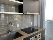 Toronto Condo Rental at Harbour Plaza Modern 1 Bedroom,...