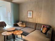 Toronto Furnished Apartment for Rent Pet Friendly 1...