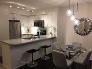 Toronto Furnished Condo for Rent Modern 1 Bed Suite with...