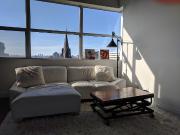 Toronto Furnished Loft Rental Pet Friendly 2 Bedroom, 2...