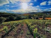 Torres Vedras Lisboa 87012938
