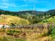 Torres Vedras Torres Vedras 87036935