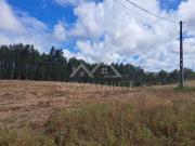 Torres Vedras Torres Vedras 87097903