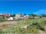 Torres Vedras Torres Vedras 91883409