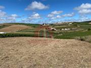 Torres Vedras Torres Vedras LS89342501